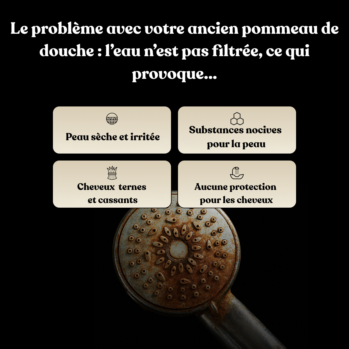 Pommeau De Douche Filtrant Premium